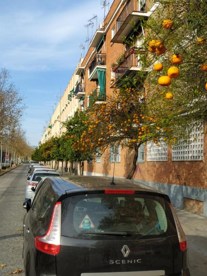 Hotel Apartamento Turistico Córdoba Exterior foto
